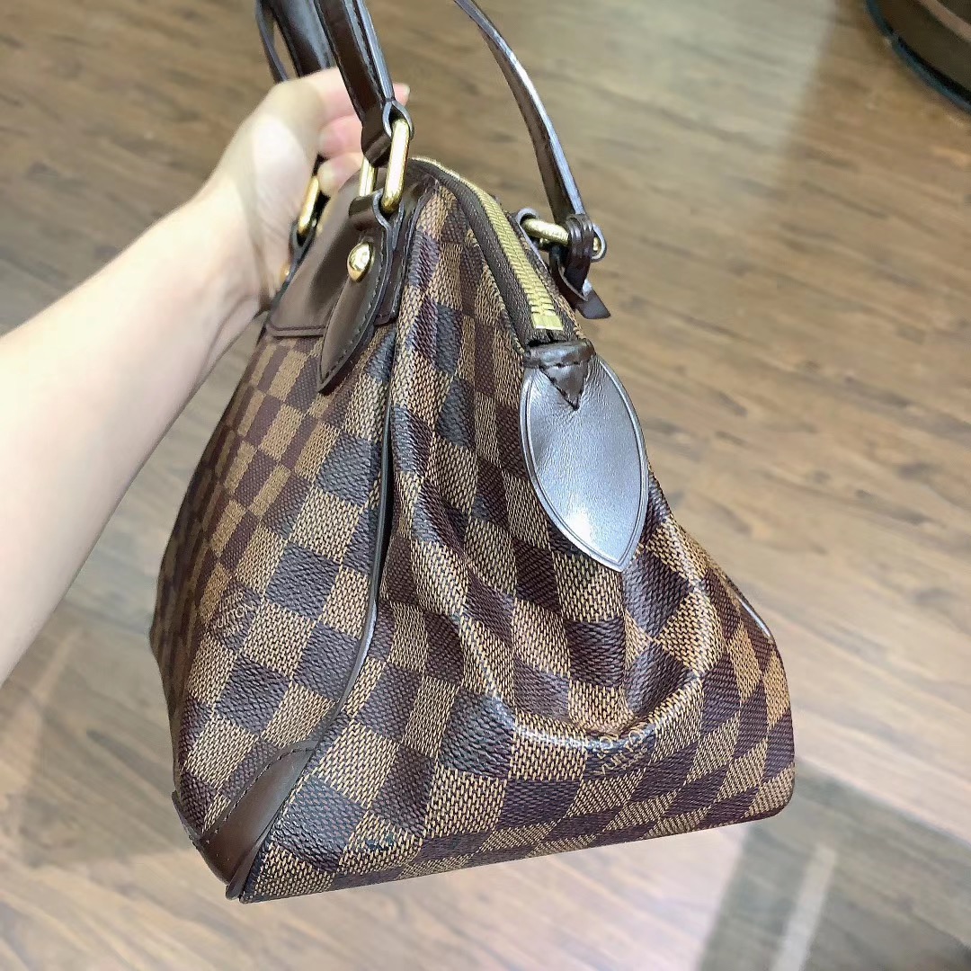 lv饺子包 lv棋盘格饺子包